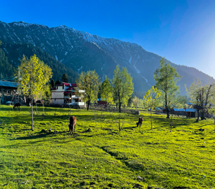 heaven-on-earth-kashmir-1744091552.jpg