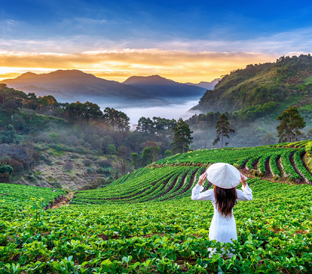 munnar-thekkady-1744091828.jpg