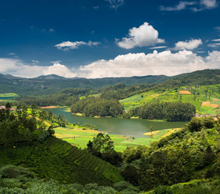 ooty-1744033777.jpg